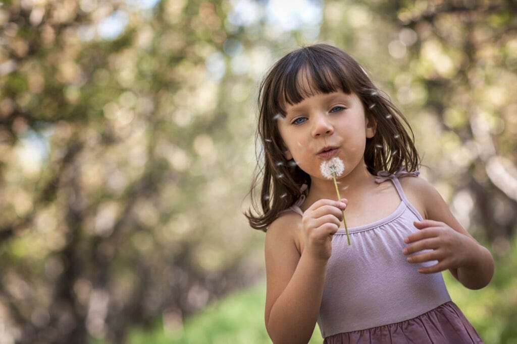 A girl blowing a dandelion clock. John FRANCEY