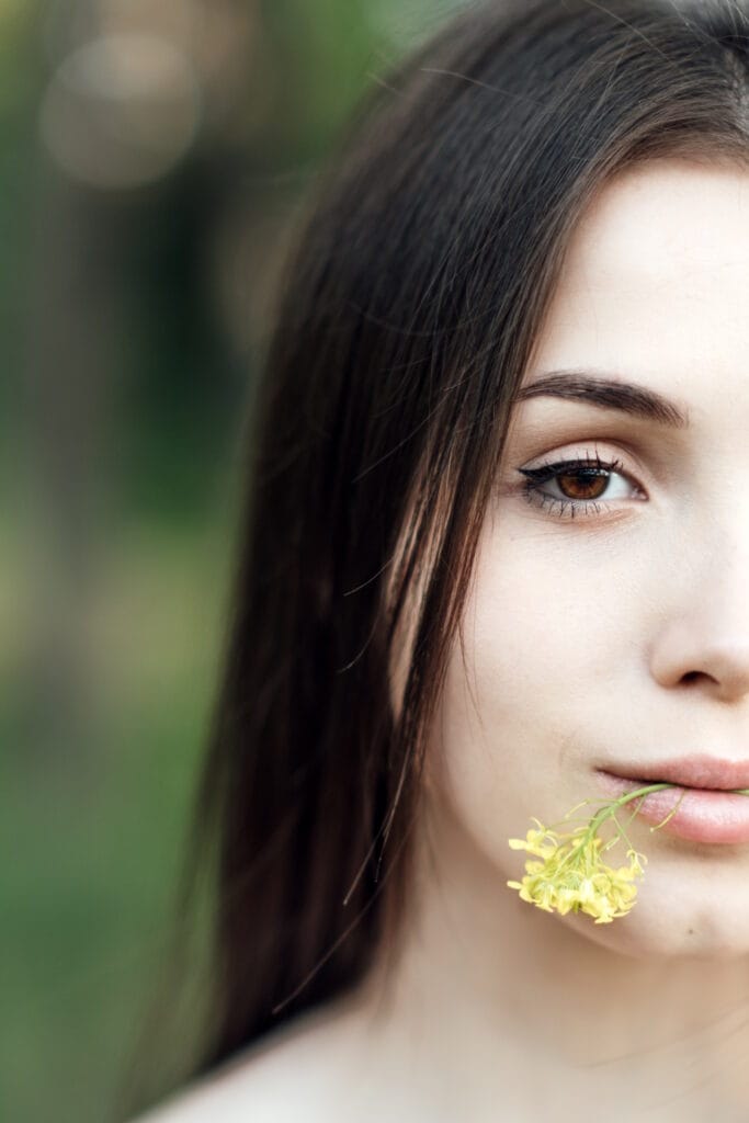 Natural beauty, summer spring flowers John FRANCEY